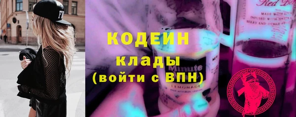 индика Баксан