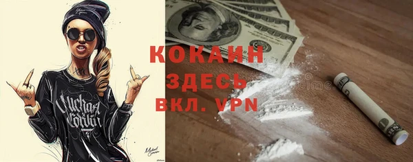 индика Баксан