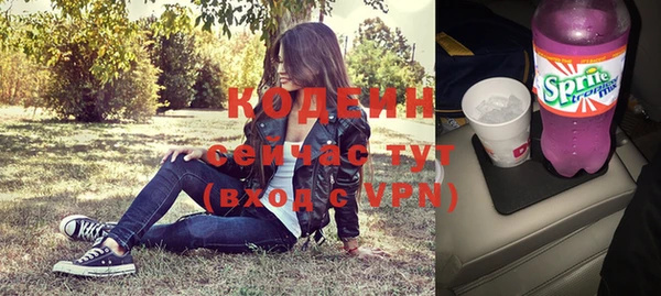 индика Баксан