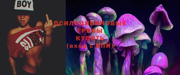 дурь Балахна