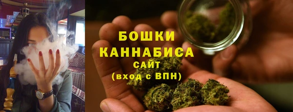 индика Баксан