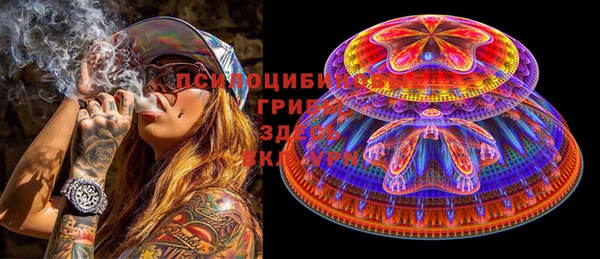гидропоника Пересвет