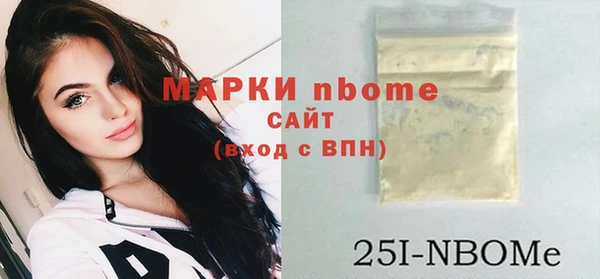 индика Баксан