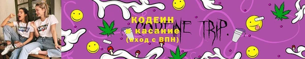 индика Баксан