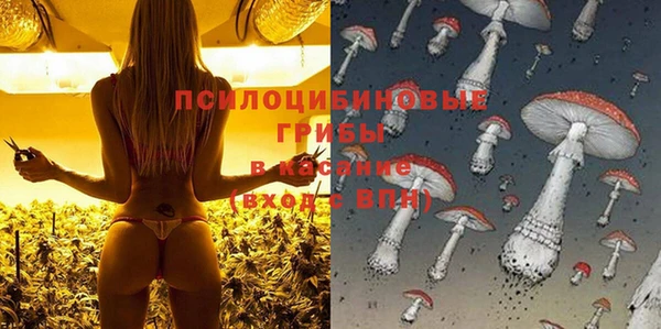 индика Баксан