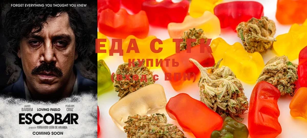 индика Баксан