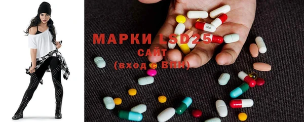 индика Баксан