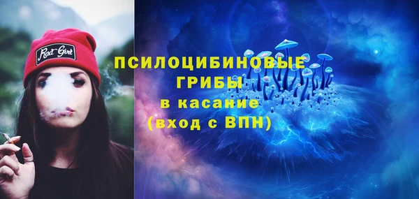 индика Баксан