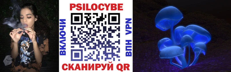 mega ссылки  Козельск  Псилоцибиновые грибы Psilocybine cubensis  наркота 